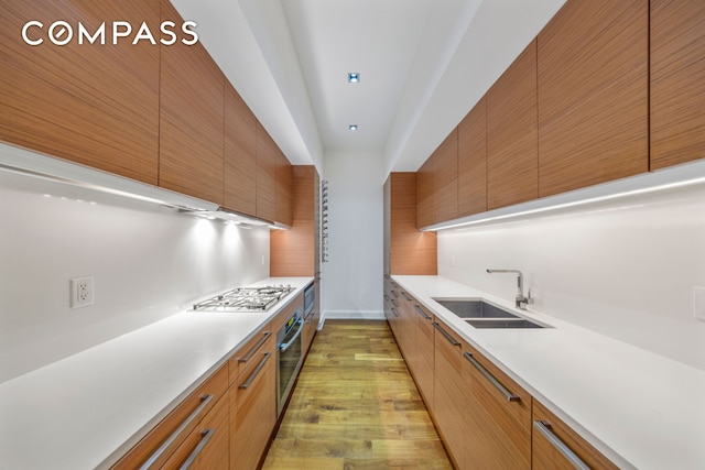 kitchen with light wood finished floors, modern cabinets, appliances with stainless steel finishes, and a sink