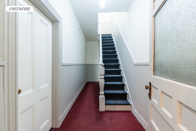 staircase with carpet