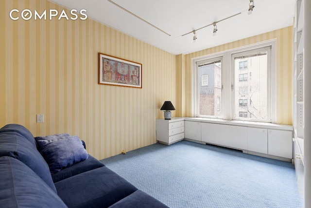 sitting room featuring track lighting and carpet floors