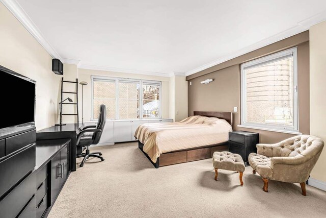 35 Sutton Pl Unit 3C, New York City, NY 10022 - bedroom featuring carpet floors, ornamental molding, and an office area