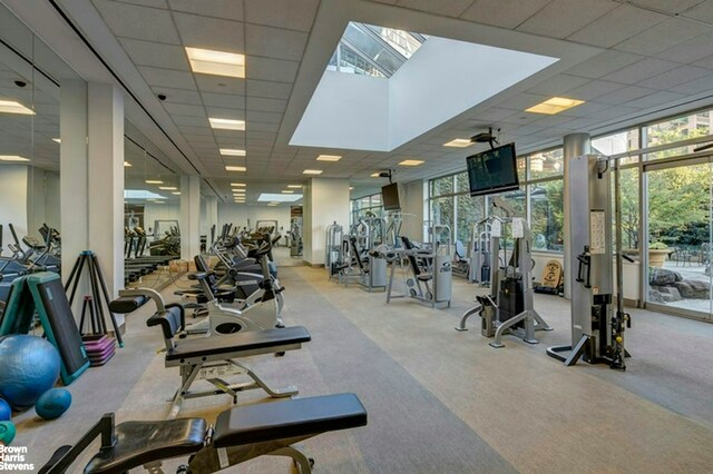 exercise room with carpet flooring, a drop ceiling, and a skylight