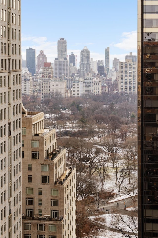 30 W 61st St Unit 21B, New York City, NY 10023 - skyline view