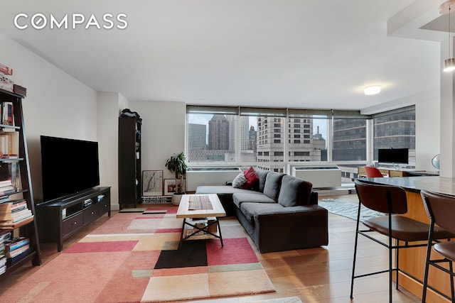 living area featuring wood finished floors