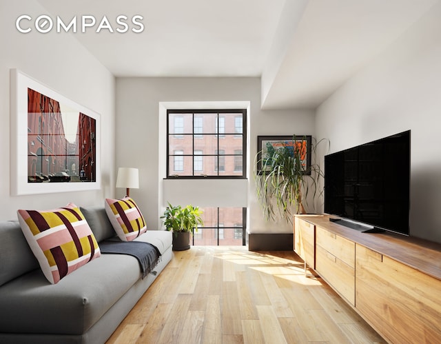 51 Jay St Unit 5D, New York City, NY 11201 - living room with light wood-style floors