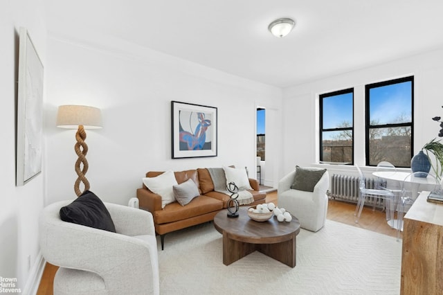 living room with hardwood / wood-style flooring