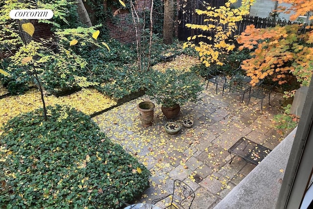 view of yard with a patio area and fence
