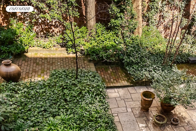 view of yard with a patio area