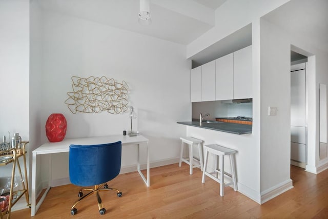 office featuring light hardwood / wood-style flooring and sink