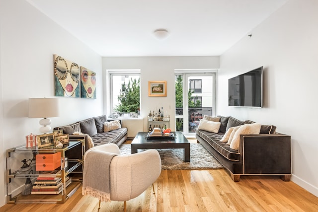 living room featuring hardwood / wood-style flooring