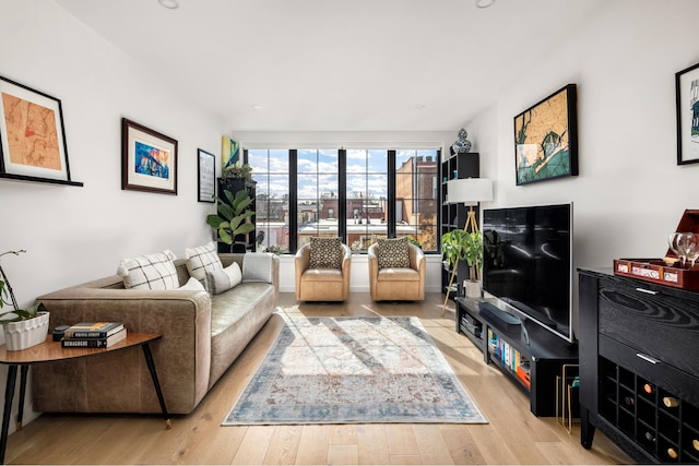 living room featuring wood finished floors