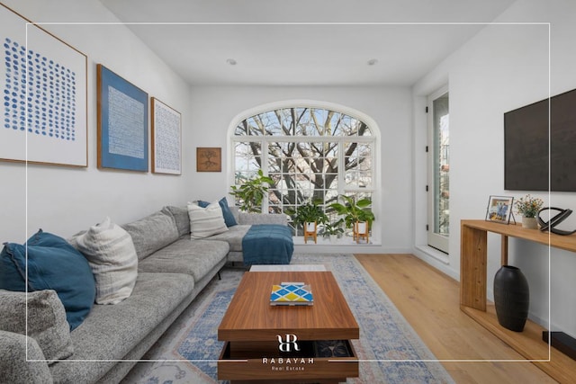 living room featuring plenty of natural light and light hardwood / wood-style flooring