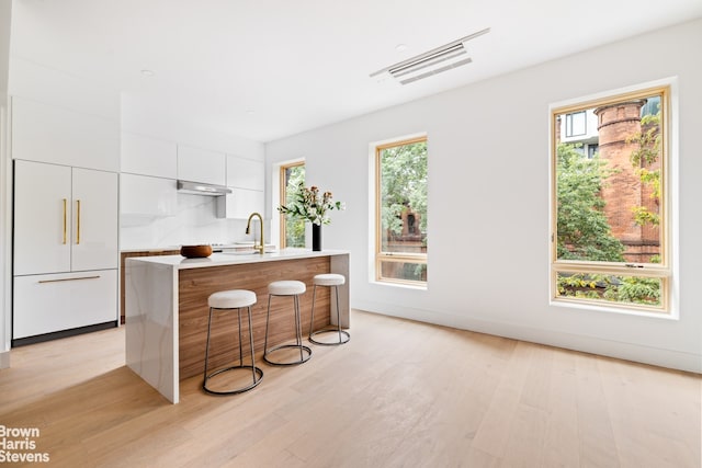 kitchen featuring a kitchen island with sink, white cabinetry, light countertops, light wood finished floors, and modern cabinets