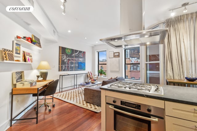 kitchen with track lighting, dark wood-type flooring, stainless steel appliances, and island exhaust hood