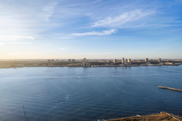 80 Riverside Blvd Unit Ph-1B, New York City, NY 10069 - water view with nearby urban area