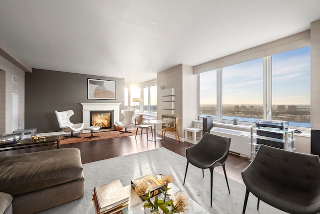 80 Riverside Blvd Unit Ph-1B, New York City, NY 10069 - living room featuring wood finished floors, radiator, and a glass covered fireplace