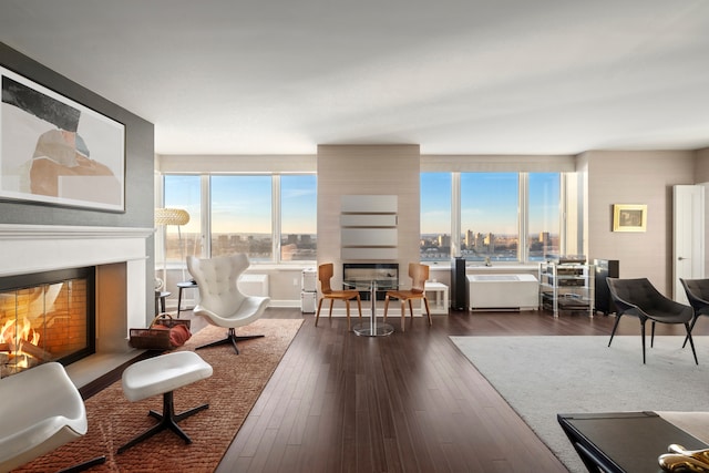 80 Riverside Blvd Unit Ph-1B, New York City, NY 10069 - living room featuring a glass covered fireplace, dark wood finished floors, and a view of city