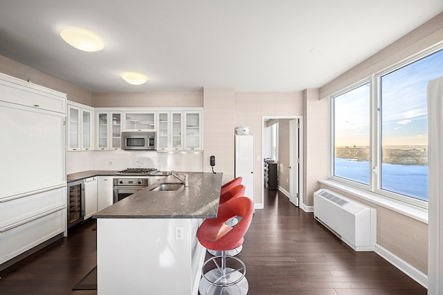 80 Riverside Blvd Unit Ph-1B, New York City, NY 10069 - kitchen featuring radiator heating unit, a sink, baseboards, stainless steel appliances, and wine cooler