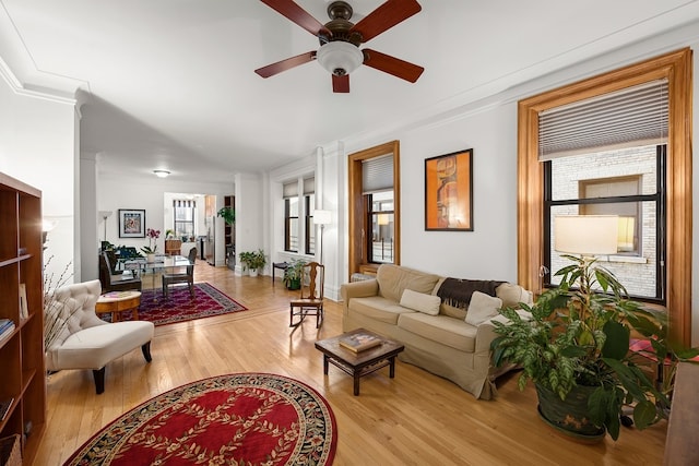 living area featuring ornamental molding, light wood-type flooring, and a ceiling fan