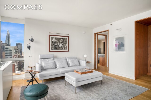 235 E 55th St Unit 44B, New York City, NY 10022 - living room featuring light wood-type flooring