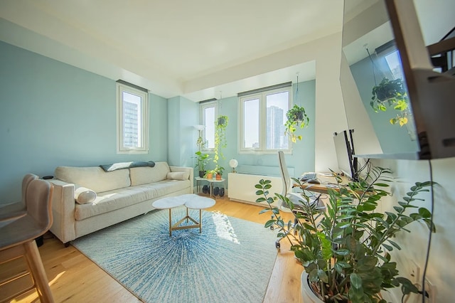 living area with a wealth of natural light, radiator, and light wood-style flooring