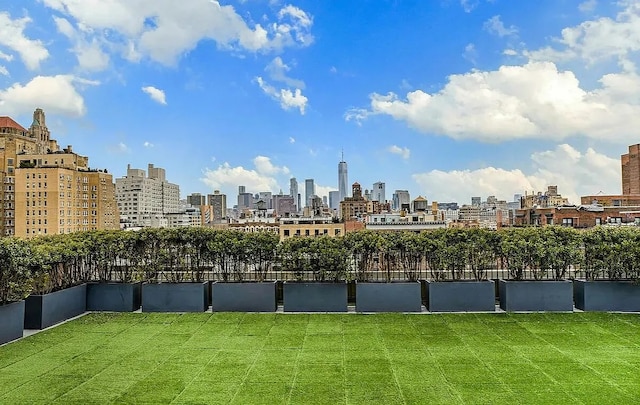 view of yard with a view of skyline