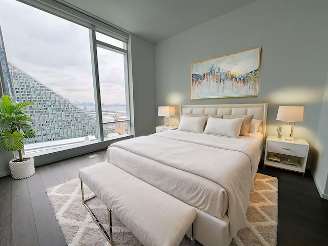 bedroom featuring expansive windows, a city view, and wood finished floors