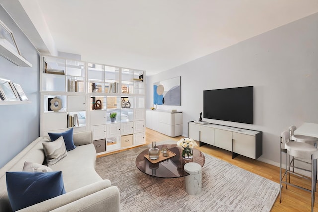 7 E 14th St Unit 1625, New York City, NY 10003 - living area featuring wood finished floors and baseboards