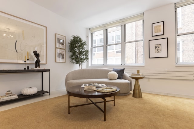 sitting room featuring a wealth of natural light