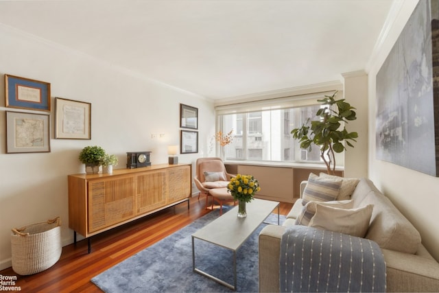 living area featuring dark wood-style floors and ornamental molding