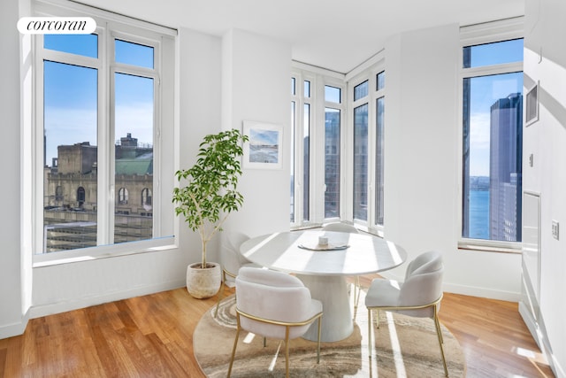 dining area featuring a wealth of natural light, a view of city, baseboards, and wood finished floors