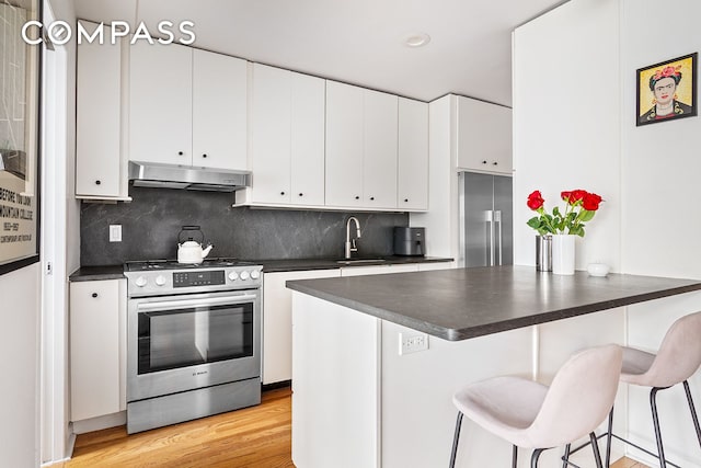 kitchen featuring tasteful backsplash, dark countertops, appliances with stainless steel finishes, under cabinet range hood, and a sink