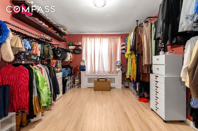 spacious closet featuring light wood finished floors and radiator heating unit