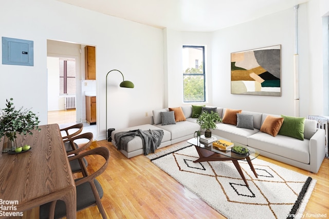 living area with a wealth of natural light, electric panel, and radiator heating unit