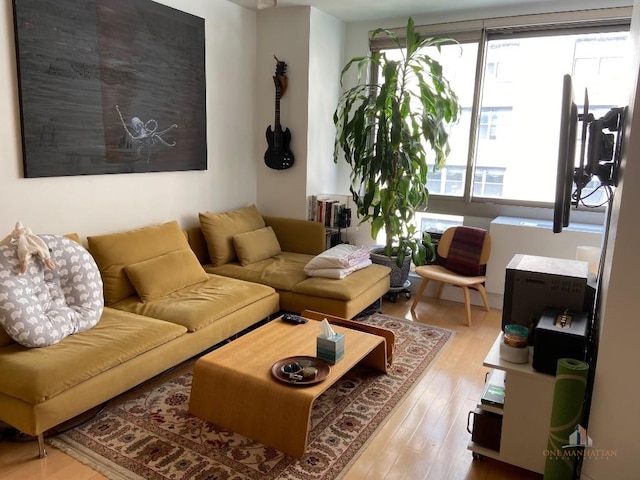 living area featuring light wood finished floors