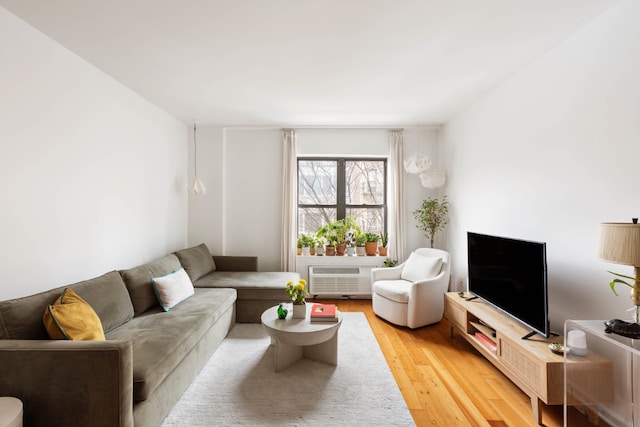 living area with wood finished floors