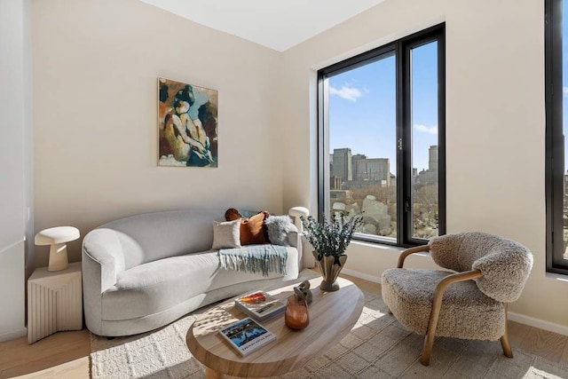 sitting room featuring baseboards, light wood-type flooring, and a city view