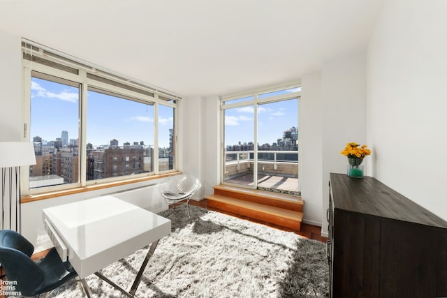 interior space with a view of city and wood finished floors