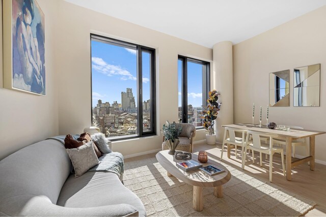 living area featuring a view of city, baseboards, and wood finished floors