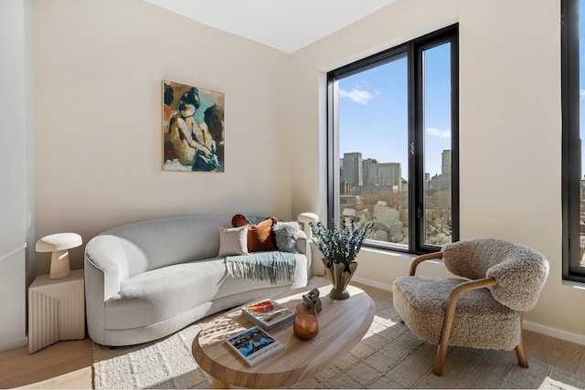 living room featuring a city view, baseboards, and wood finished floors