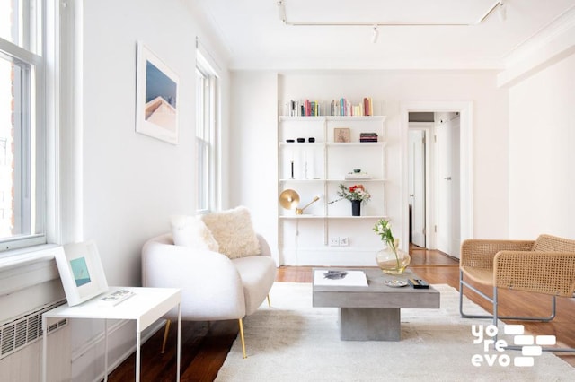 living area featuring track lighting and wood finished floors