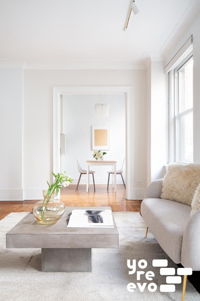 living room with baseboards, wood finished floors, rail lighting, and crown molding