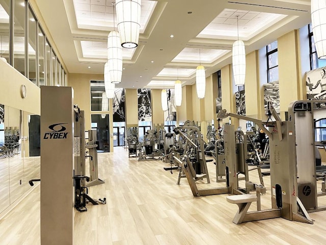 gym featuring a tray ceiling, a high ceiling, and light wood-style flooring