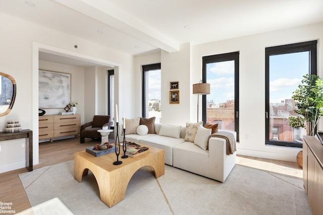 living room featuring light wood-type flooring and a healthy amount of sunlight