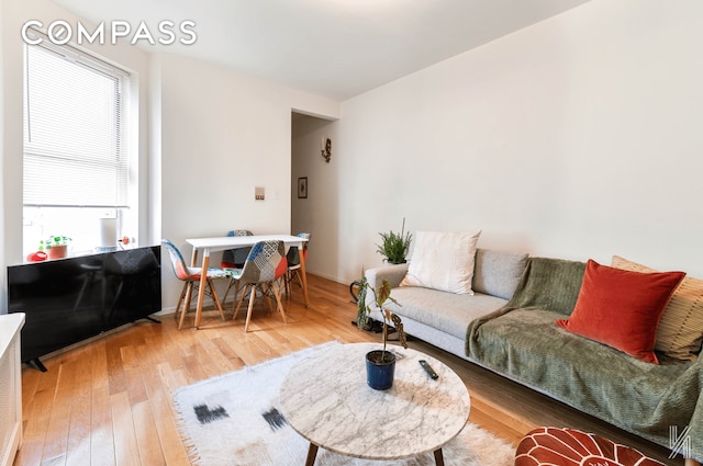 living area with wood finished floors