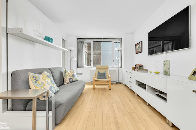 living area with light wood-style floors