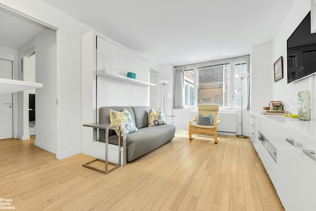 living room featuring light wood-style floors