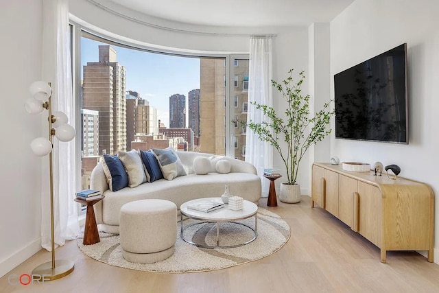 sitting room with baseboards and light wood-style floors