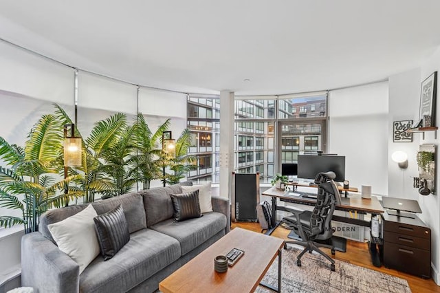 office featuring wood finished floors