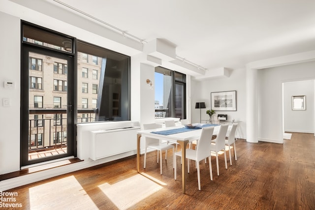 dining space with baseboards, a healthy amount of sunlight, wood finished floors, and rail lighting