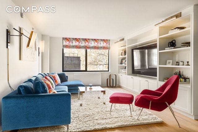 101 W 87th St Unit 415, New York City, NY 10024 - living room featuring light wood-style floors